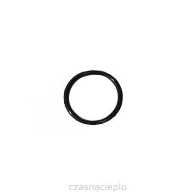 O-ring 19x2 ACV